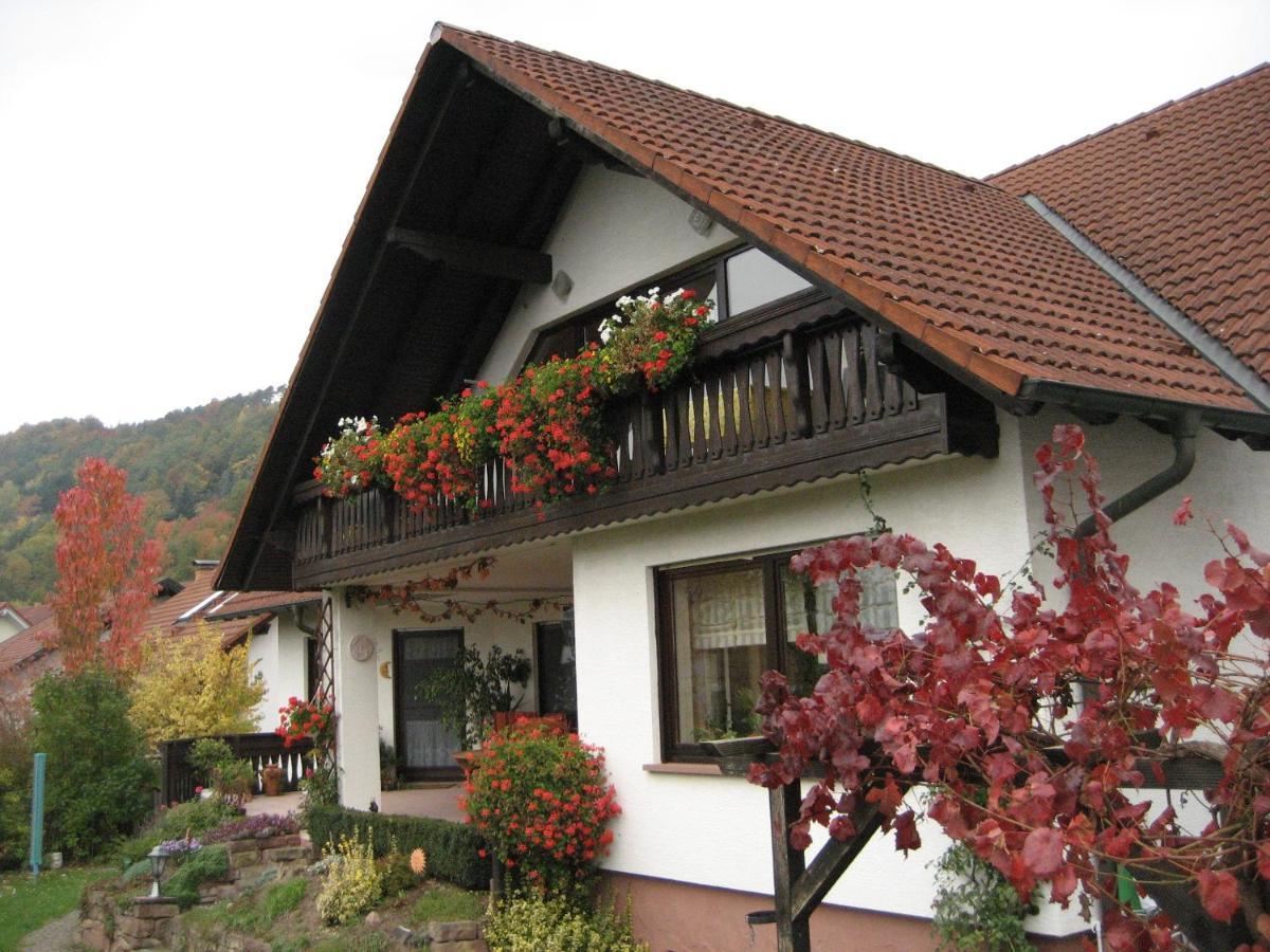Ferienwohnungen Haus Albert Grossheubach Ngoại thất bức ảnh